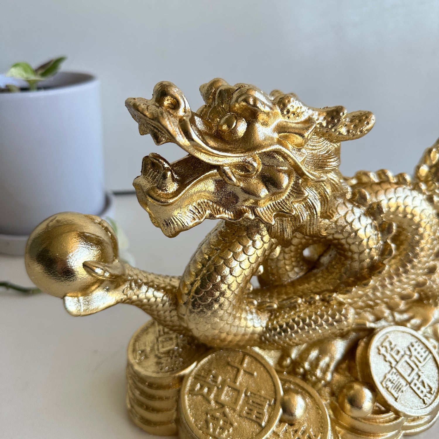 Gold Money Dragon BUDDCHIL