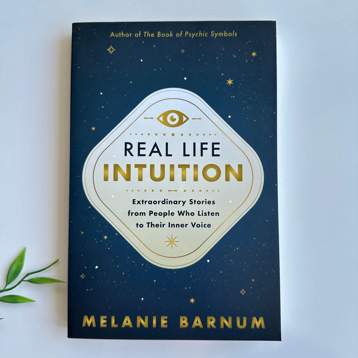 Real Life Intuition Melanie Barnum
