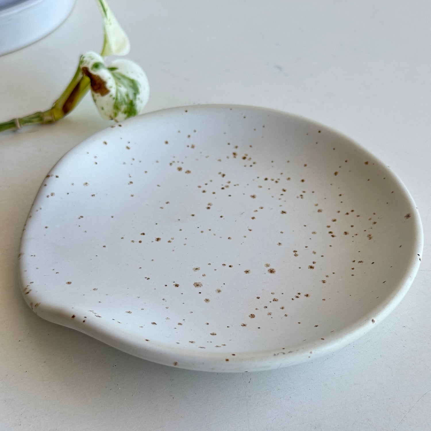 Francis Ceramic Dish KW2343