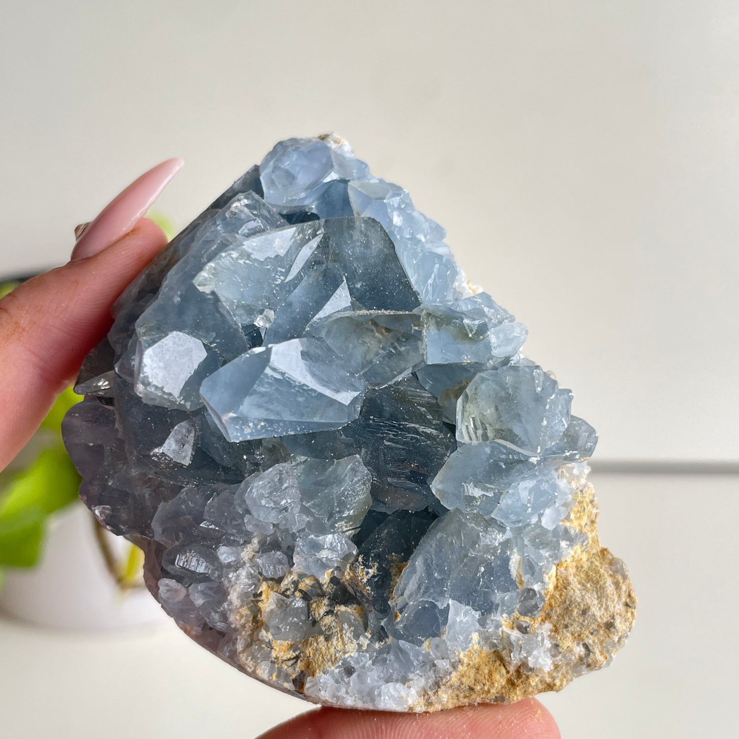 Celestite Cluster 284g