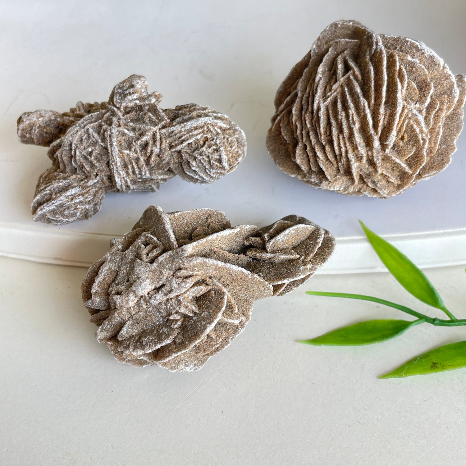 Desert Rose Tumbled Medium