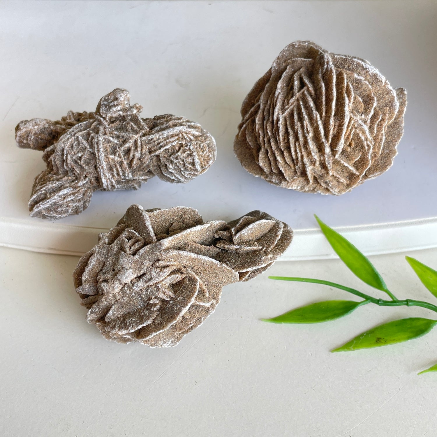 Desert Rose Tumbled Medium