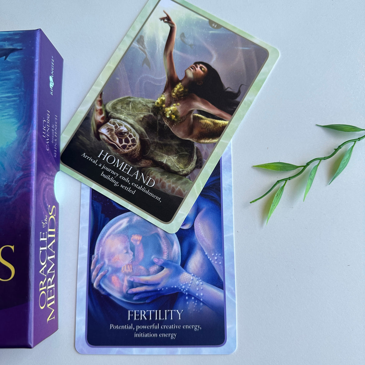 Oracle Of The Mermaids Lucy Cavendish