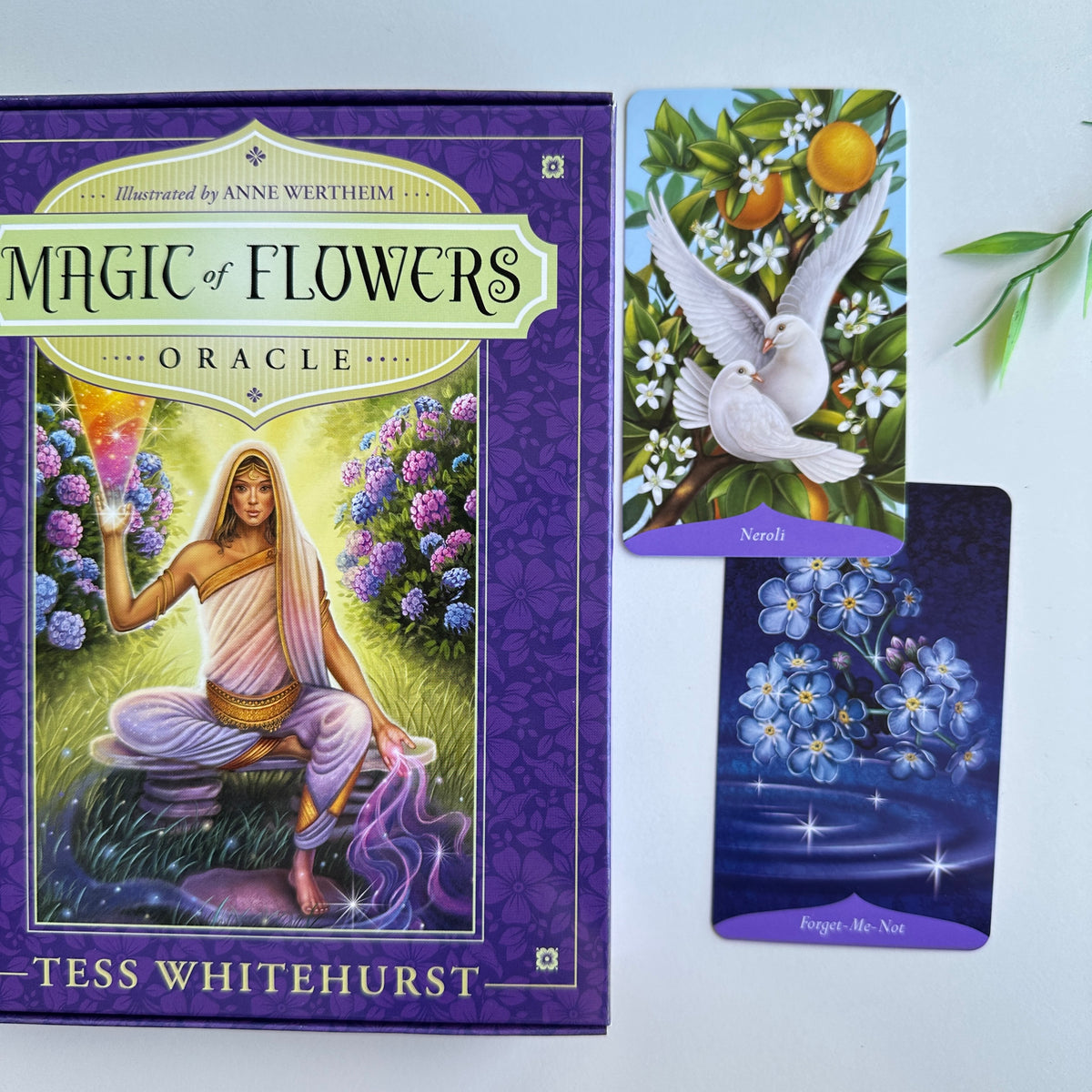 Magic Of Flowers Oracle Tess Whitehurst