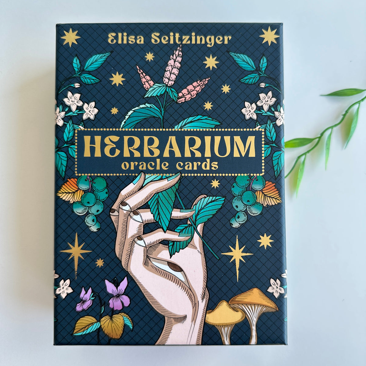 Herbarium Oracle Elisa Seitzinger