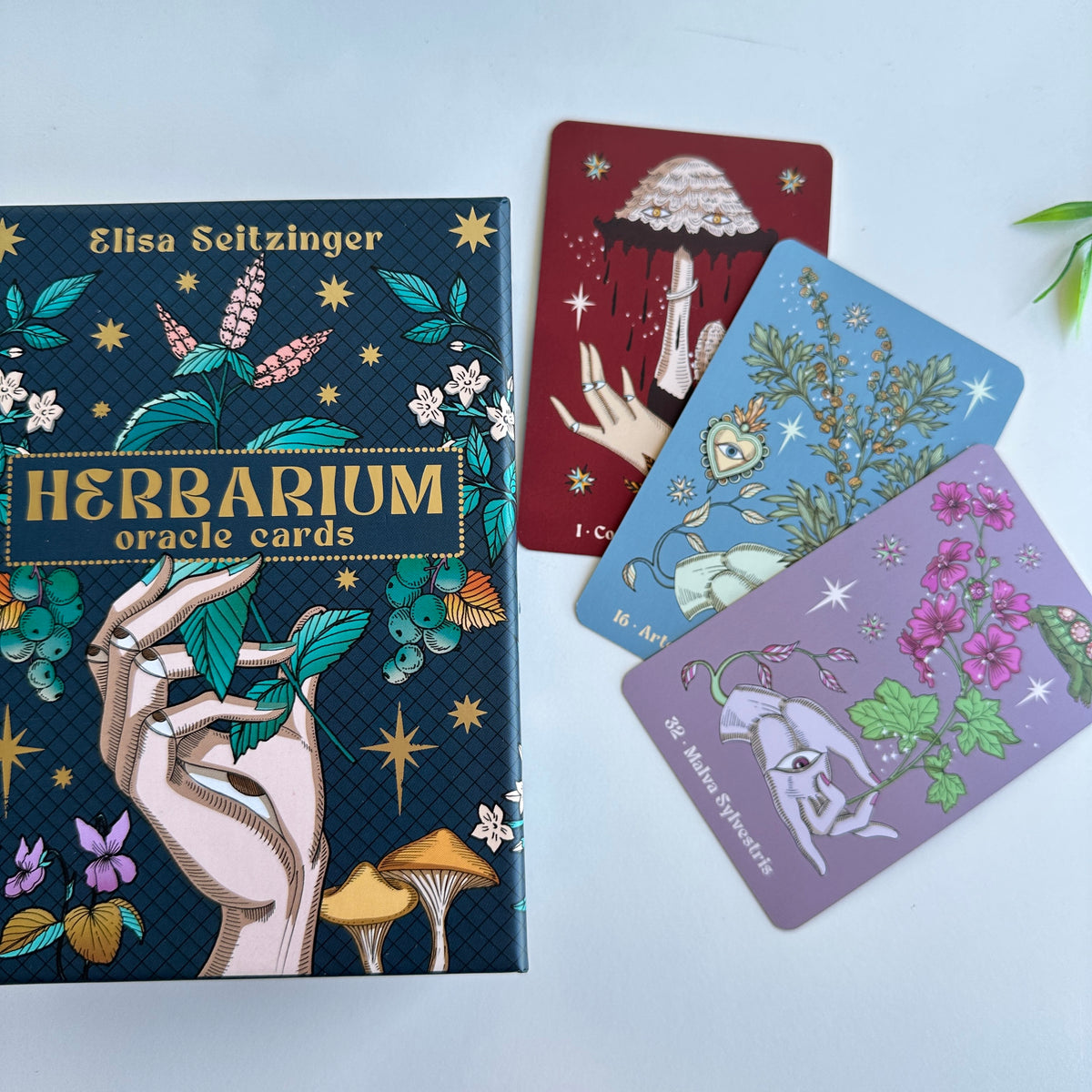 Herbarium Oracle Elisa Seitzinger