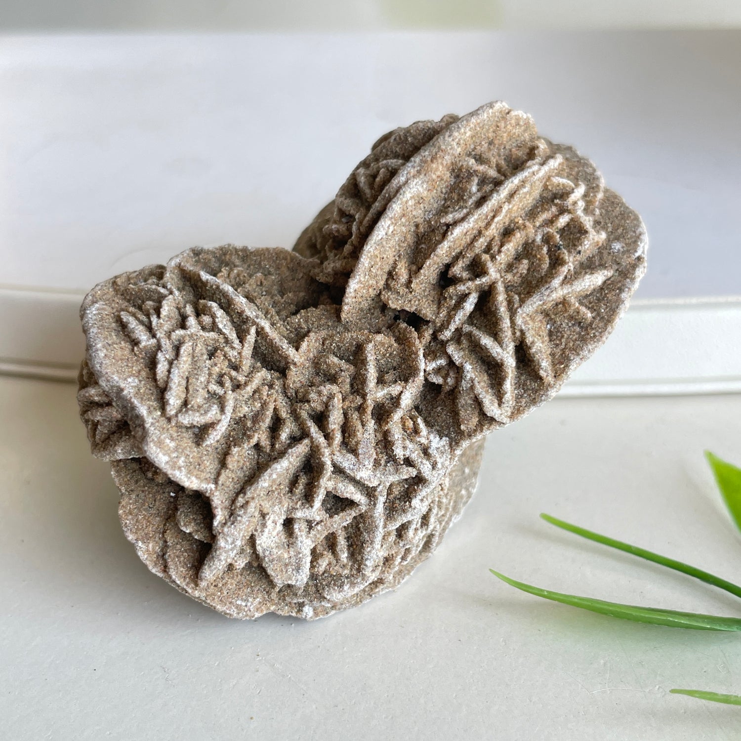 Desert Rose Pce 74g