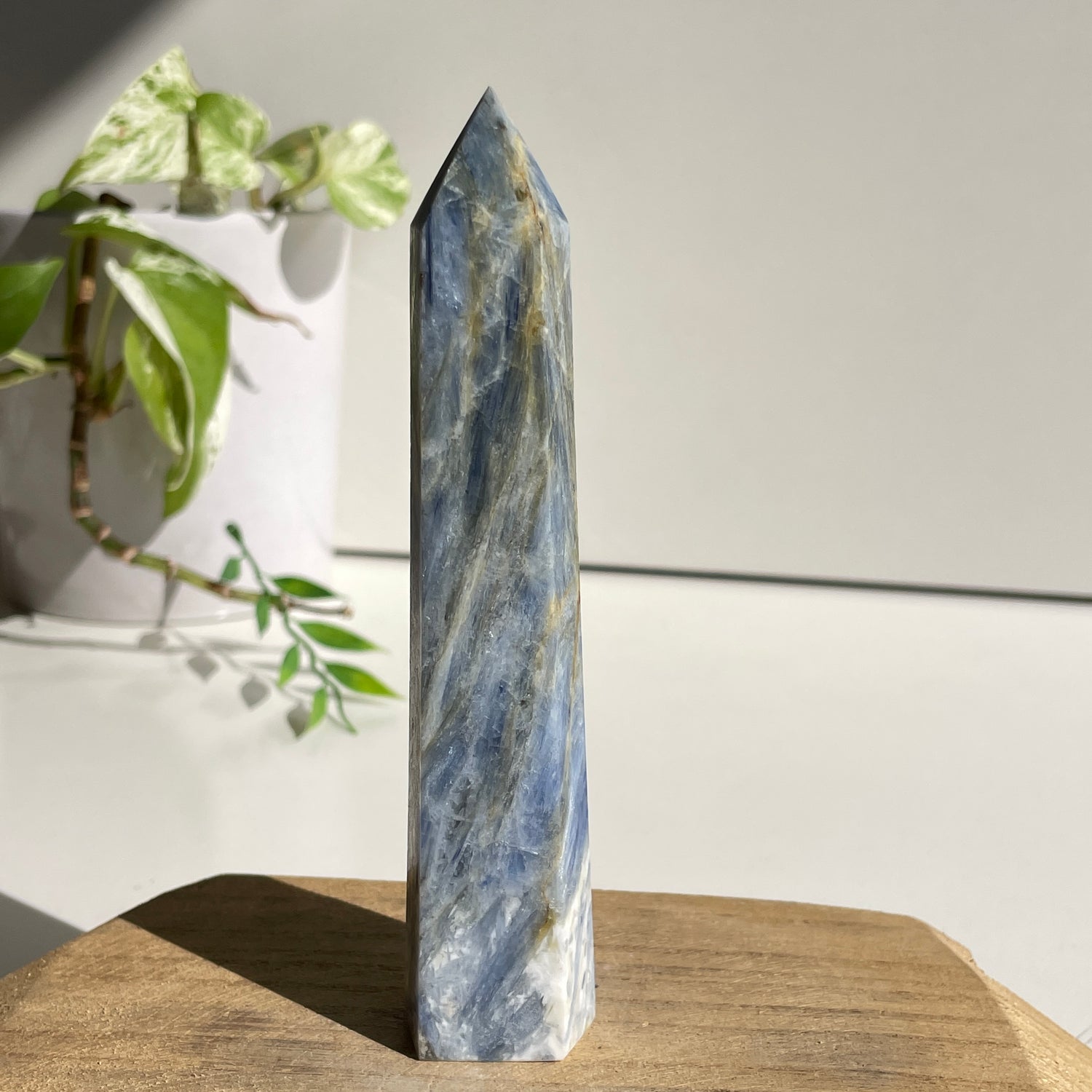 Blue Kyanite Generator 13.8cm