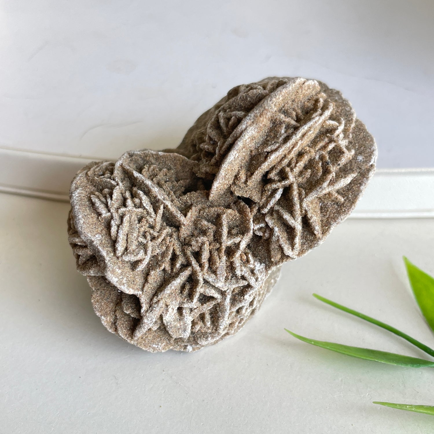 Desert Rose Pce 74g