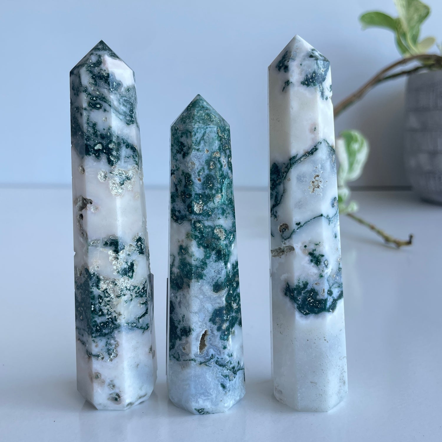 Tree Agate Generator Medium Assorted