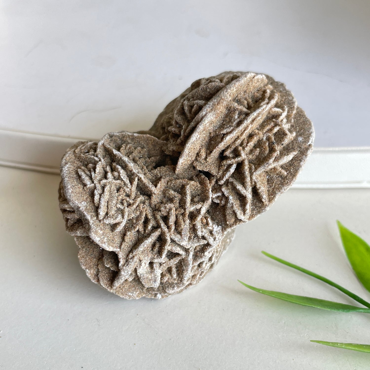 Desert Rose Pce 74g