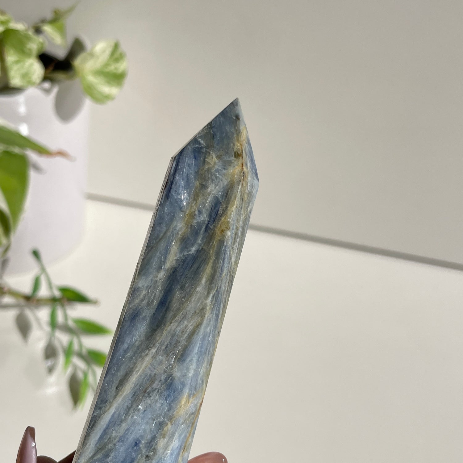 Blue Kyanite Generator 13.8cm