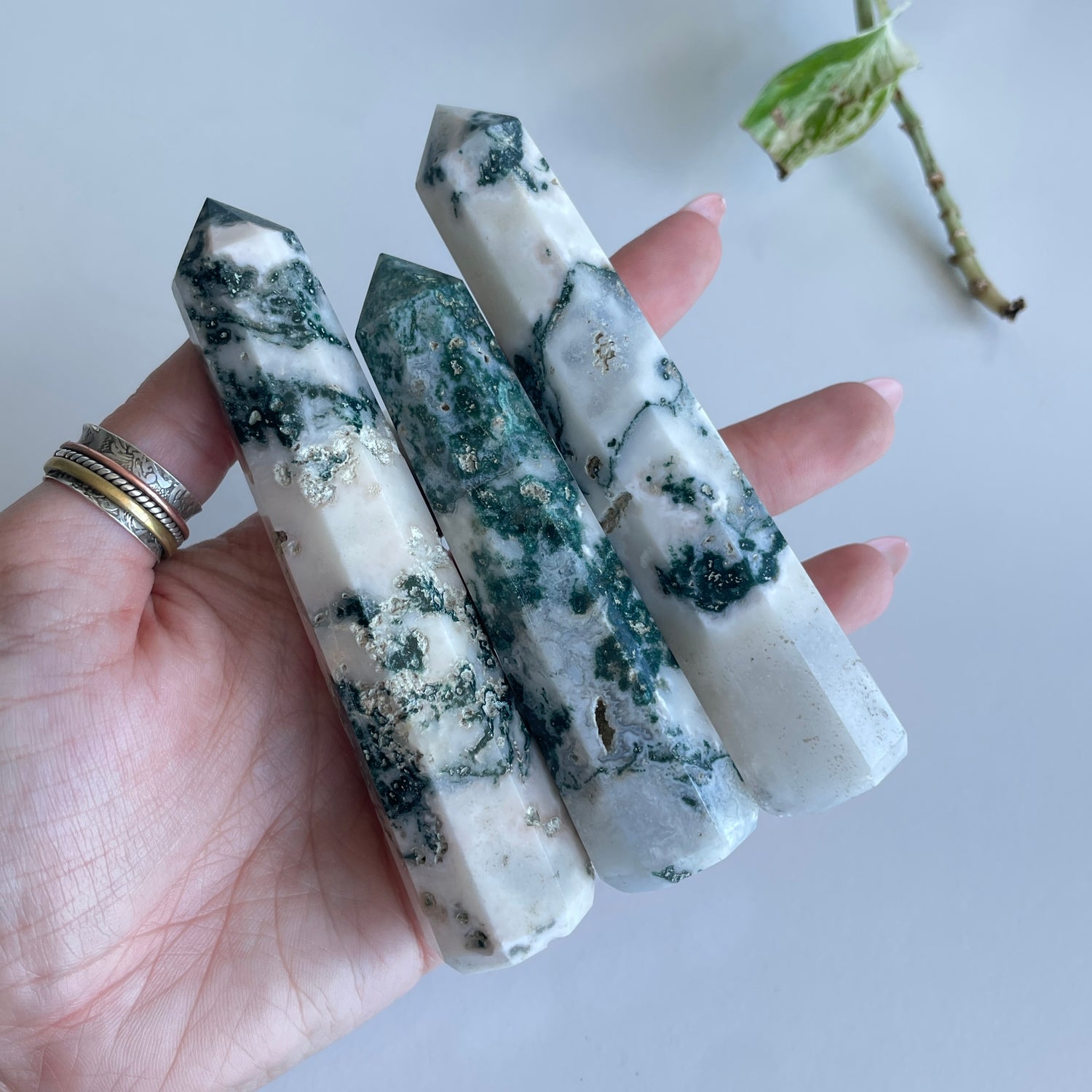 Tree Agate Generator Medium Assorted