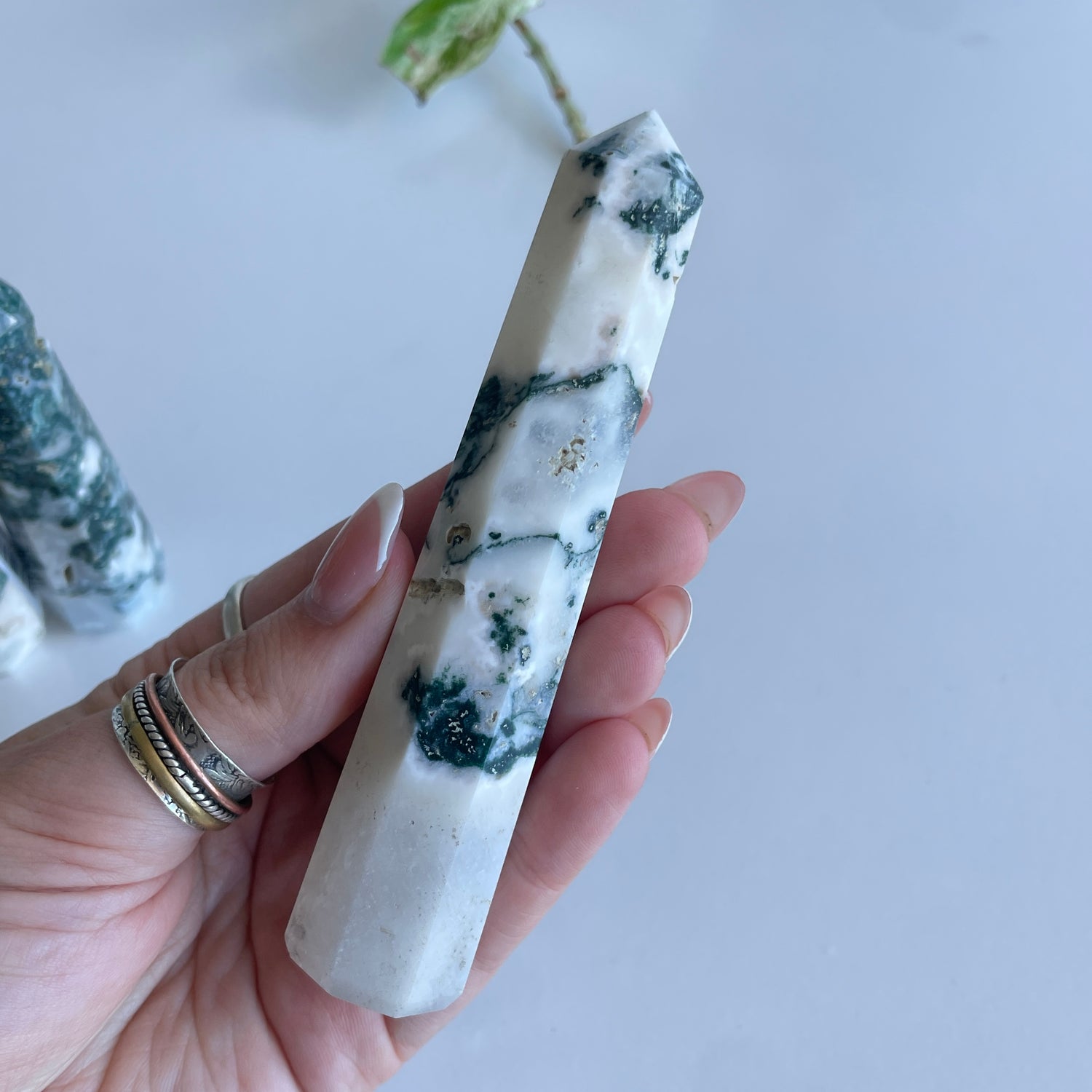 Tree Agate Generator Medium Assorted