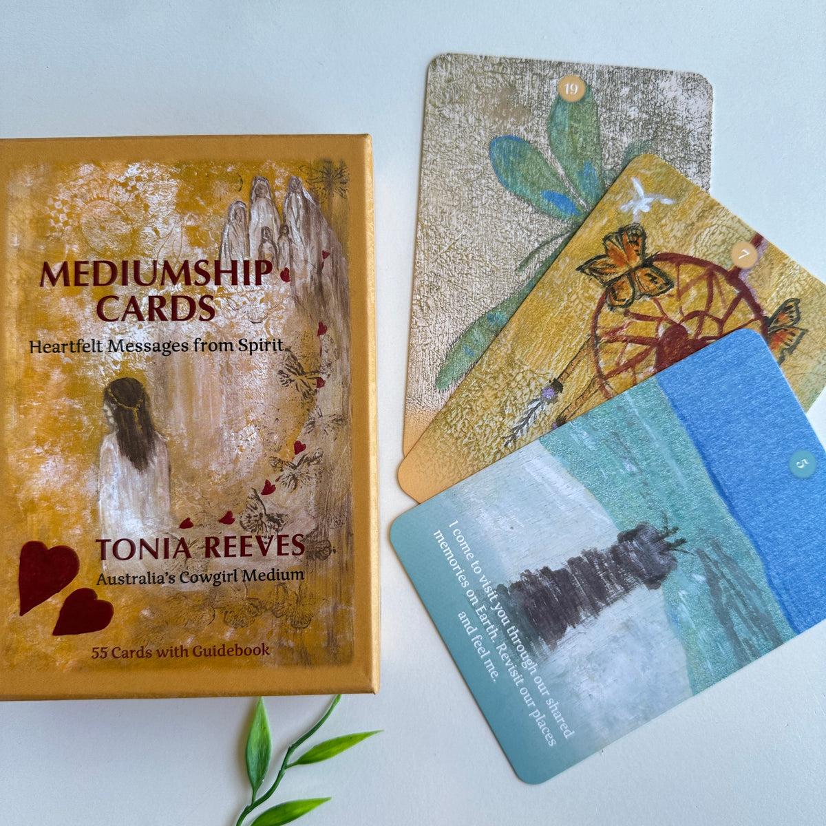 Mediumship Cards Tonia Reeves