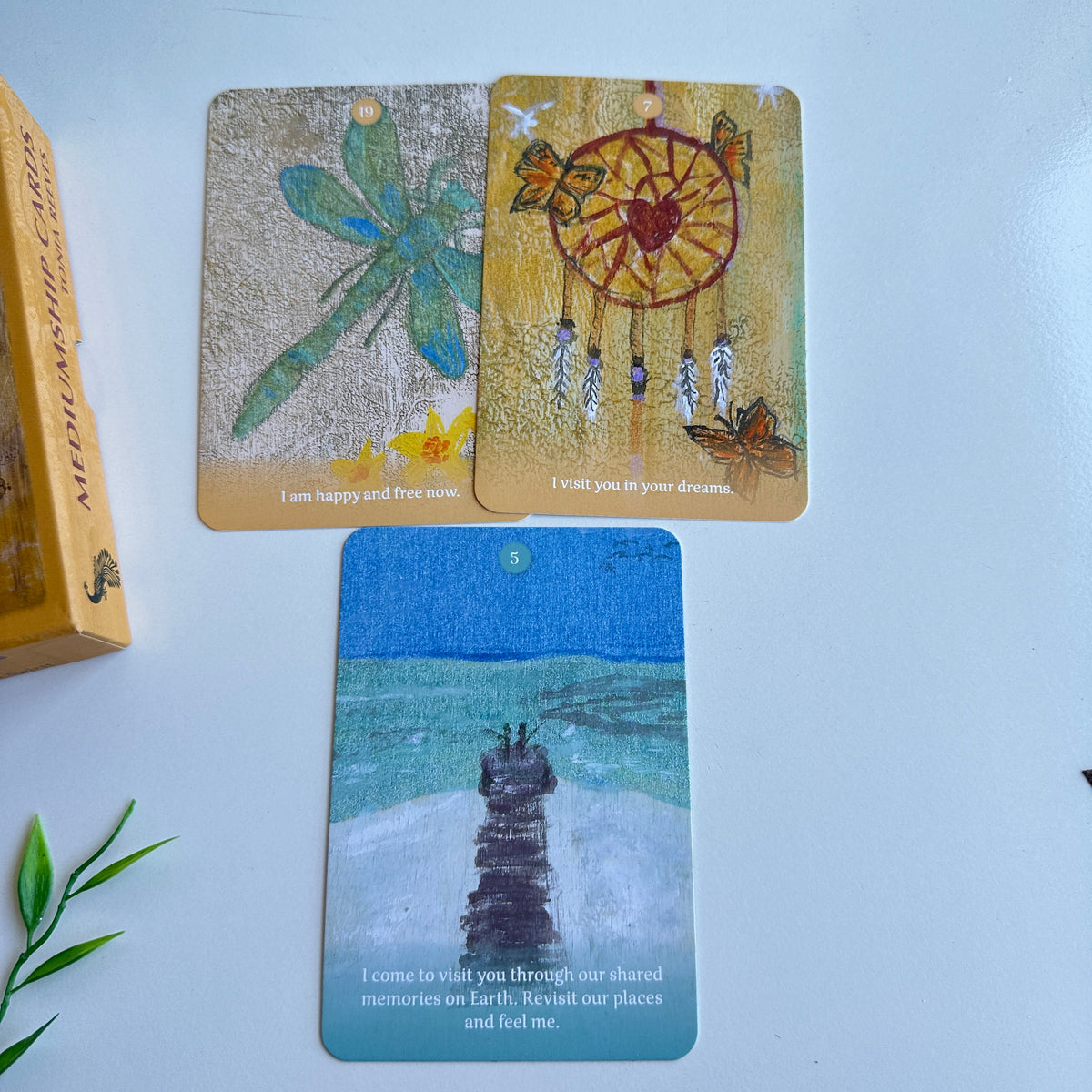 Mediumship Cards Tonia Reeves