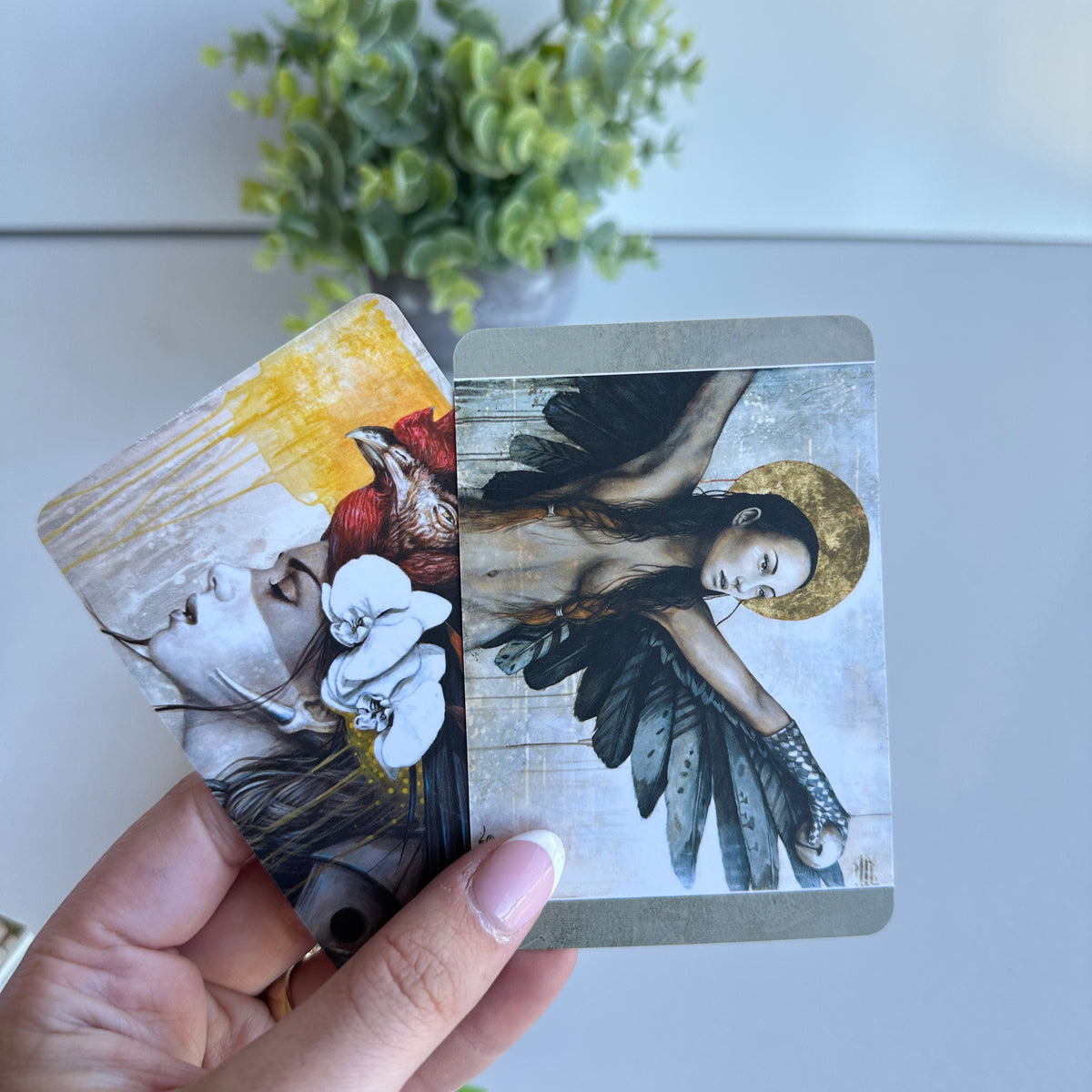 Medicine Heart Oracle Cards Alana Fairchild Pocket Edition