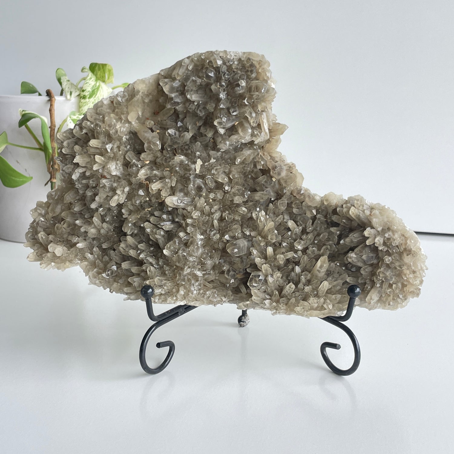 Smoky Quartz Cluster 1.544kg