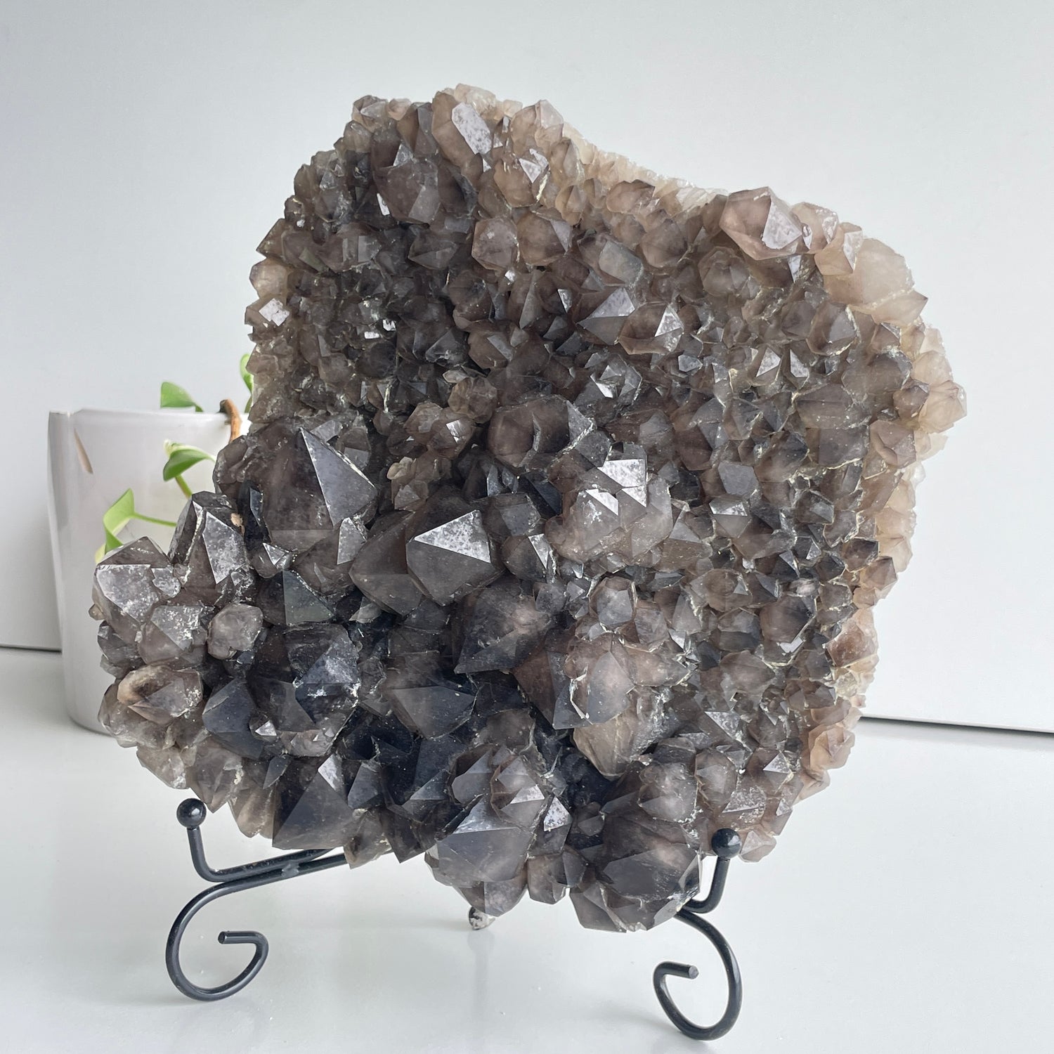 Smoky Quartz Cluster 3.354kg
