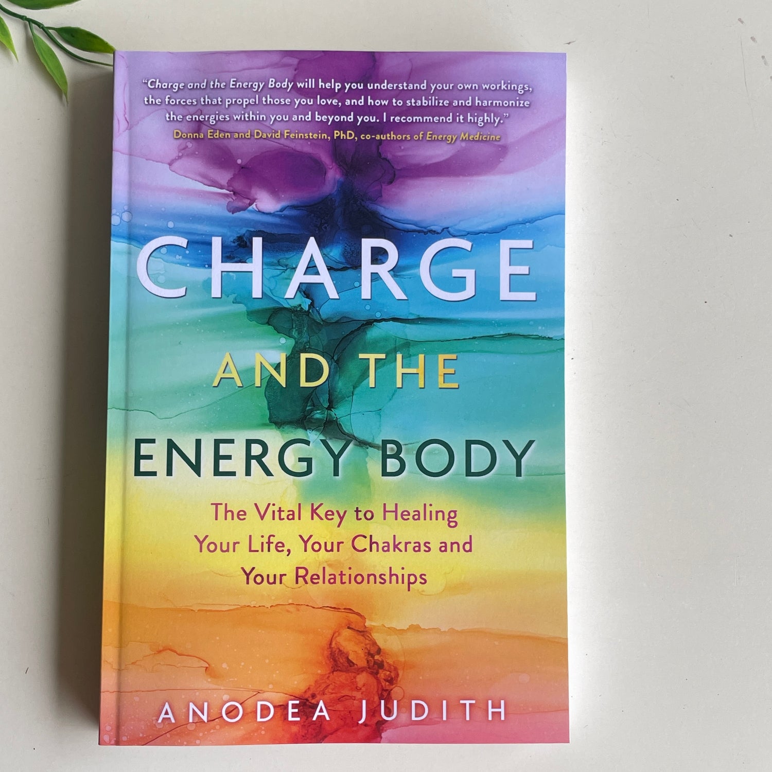 Charge And The Energy Body Anodea Judith