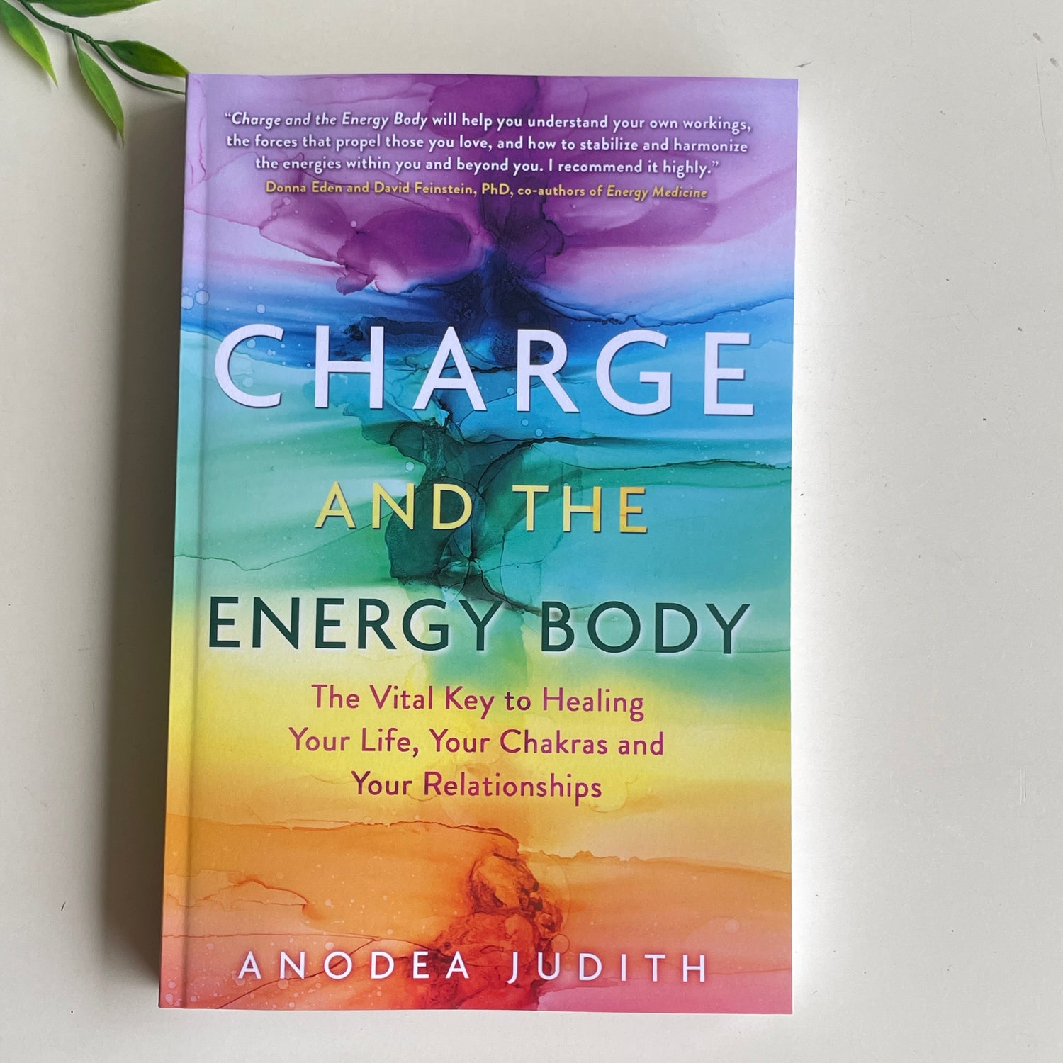 Charge And The Energy Body Anodea Judith