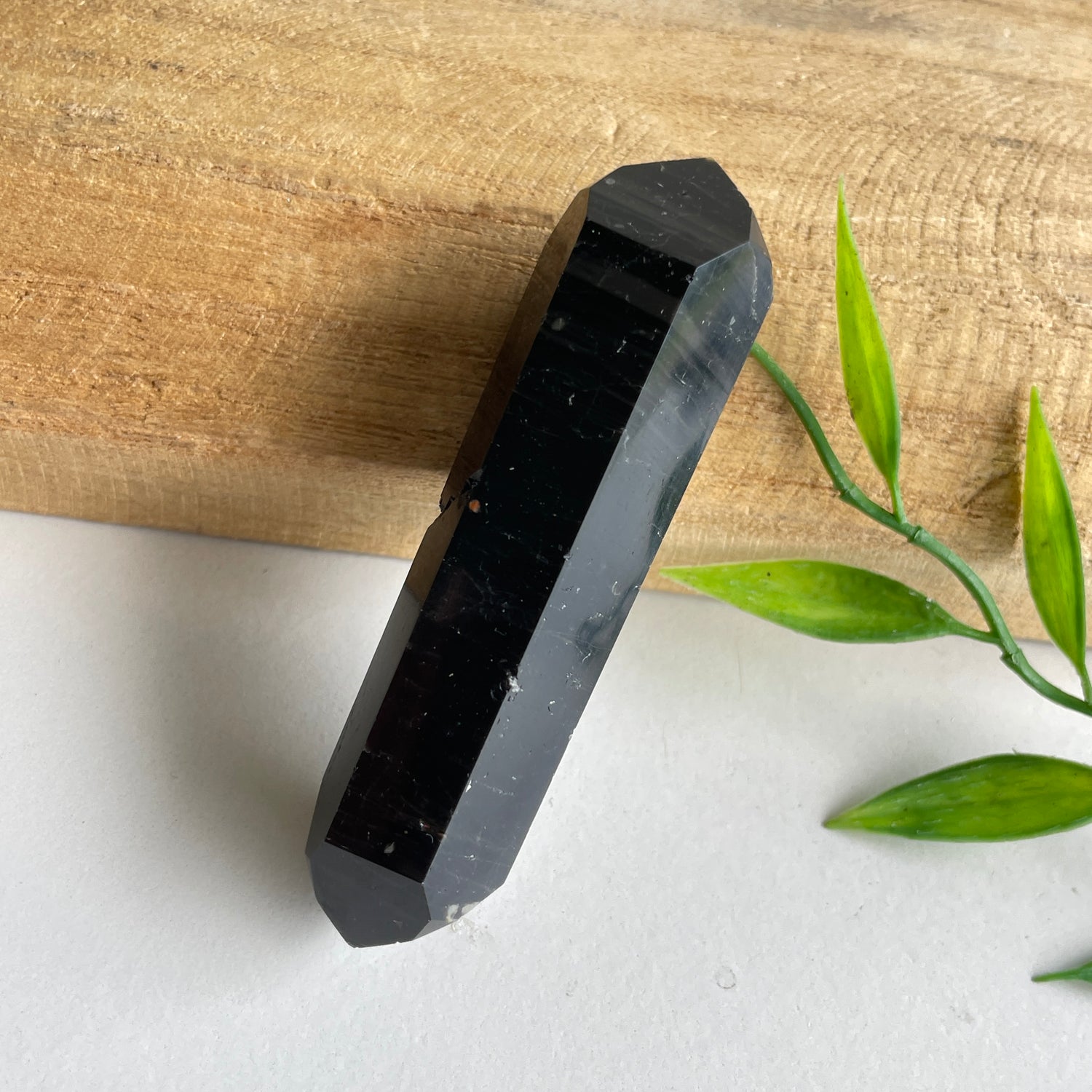 Black Tourmaline Double Terminator 7.3cm