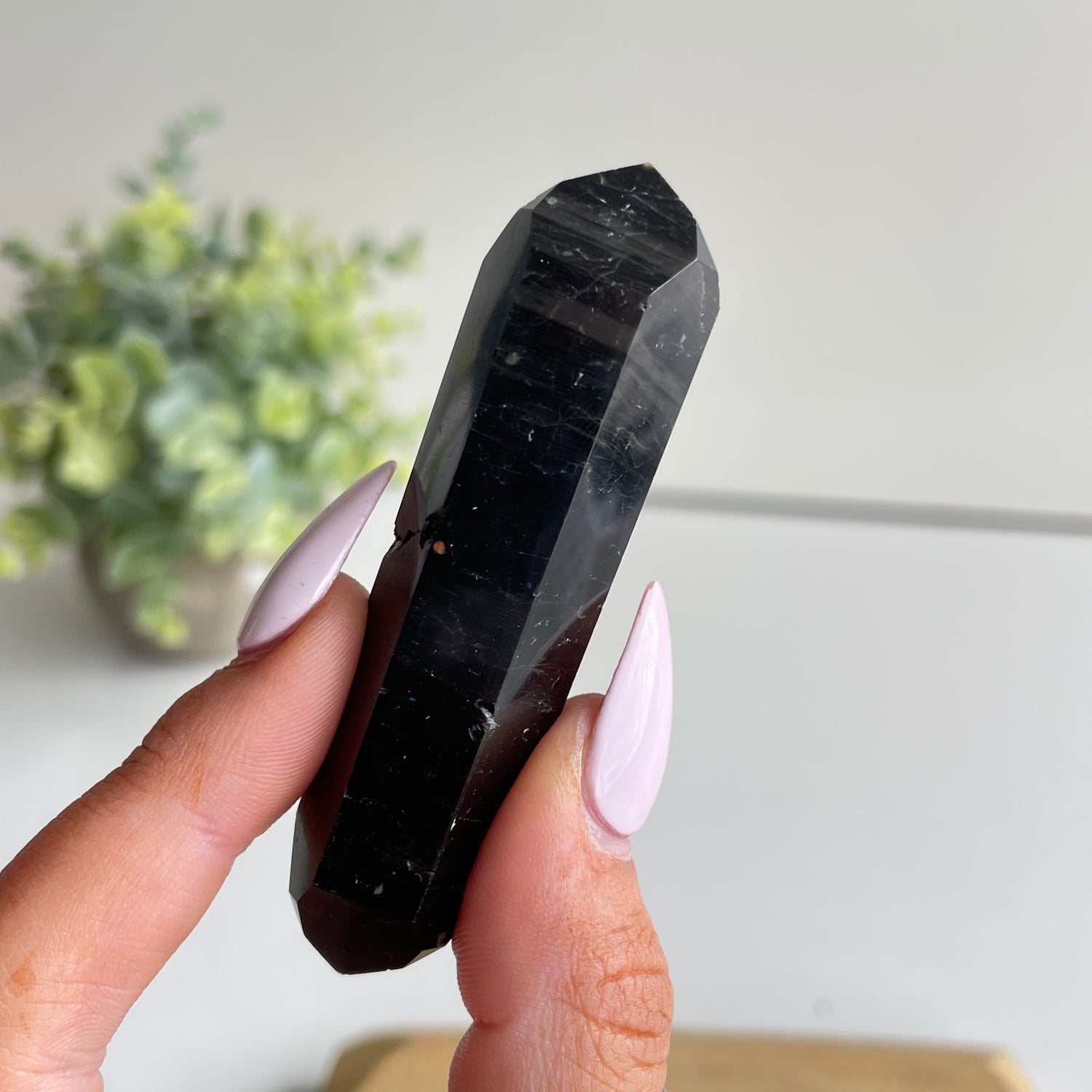 Black Tourmaline Double Terminator 7.3cm