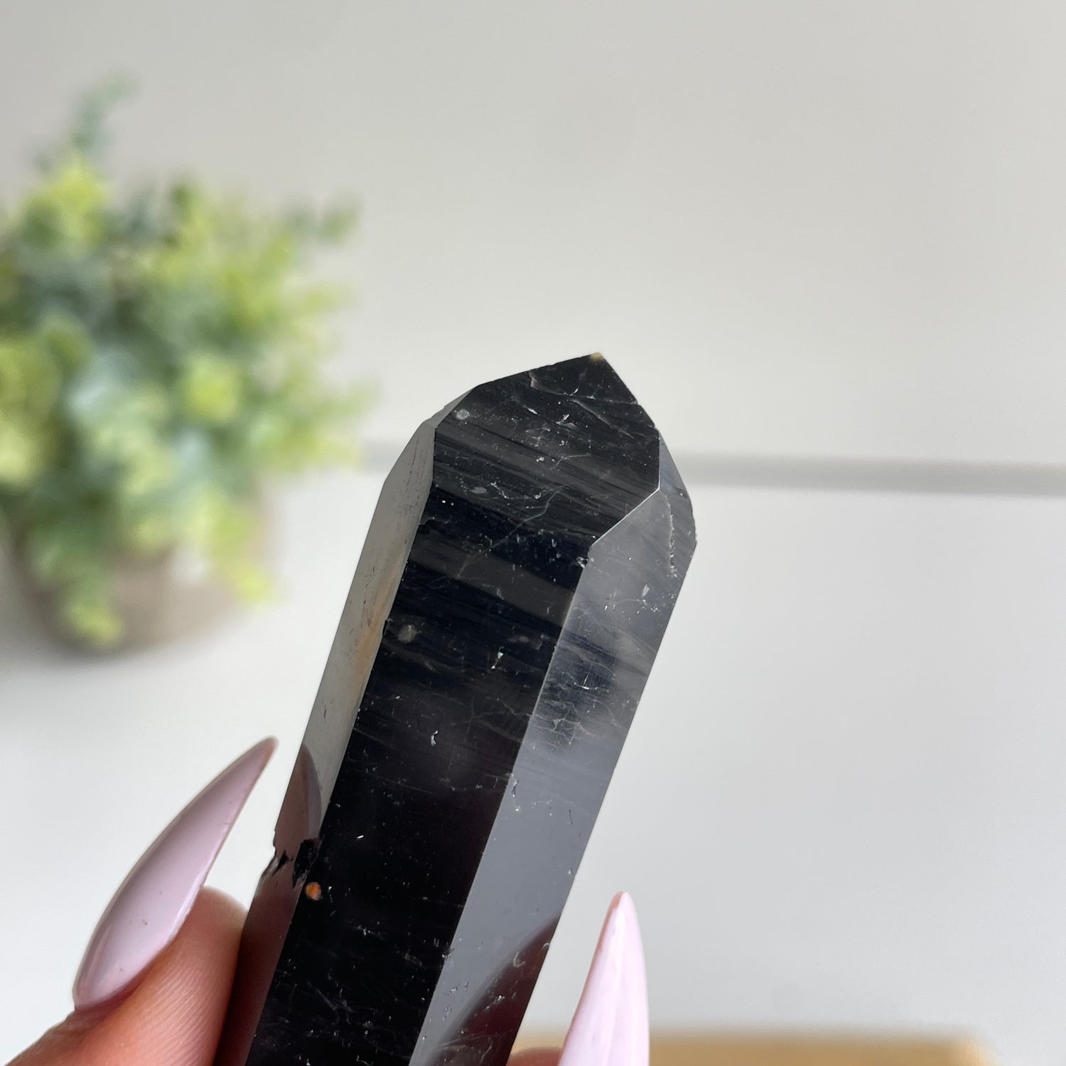 Black Tourmaline Double Terminator 7.3cm