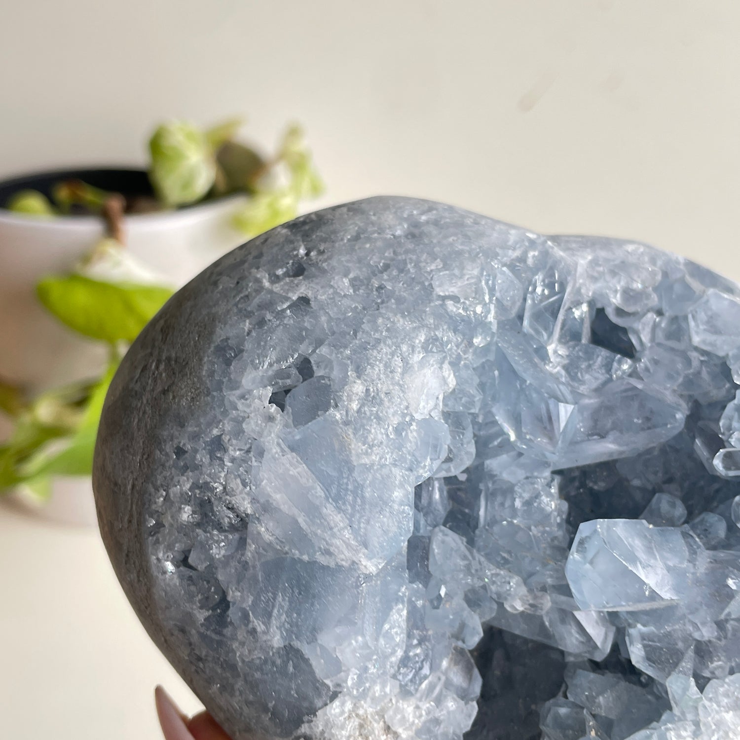 Celestite Geode Heart 1.458kg
