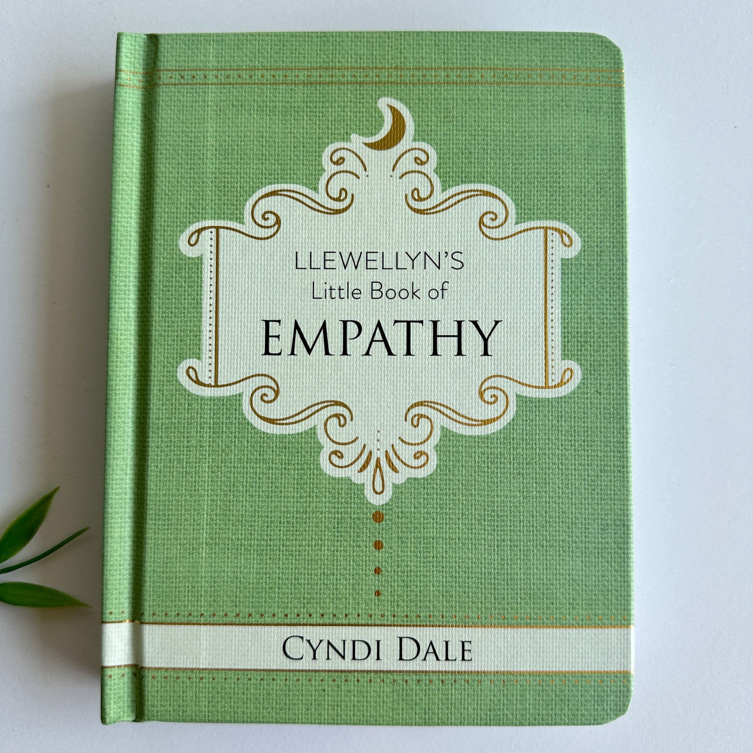 Llewellyns Little Book Of Empathy Cyndi Dale