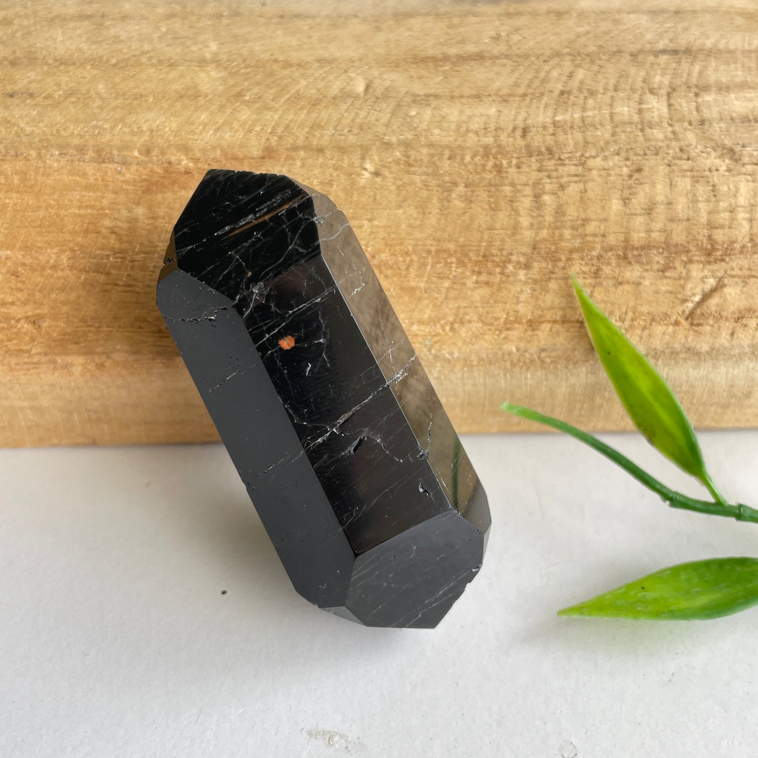 Black Tourmaline Double Terminator 5.4cm