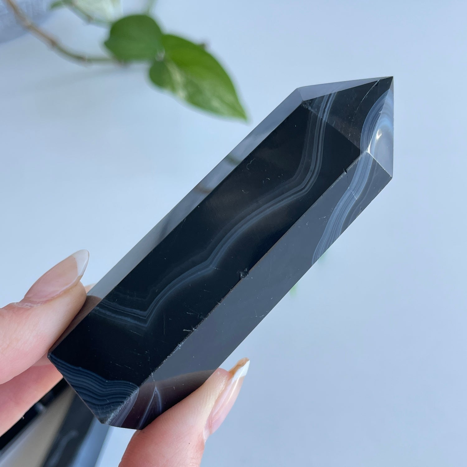 Black Agate Generator Medium Assorted