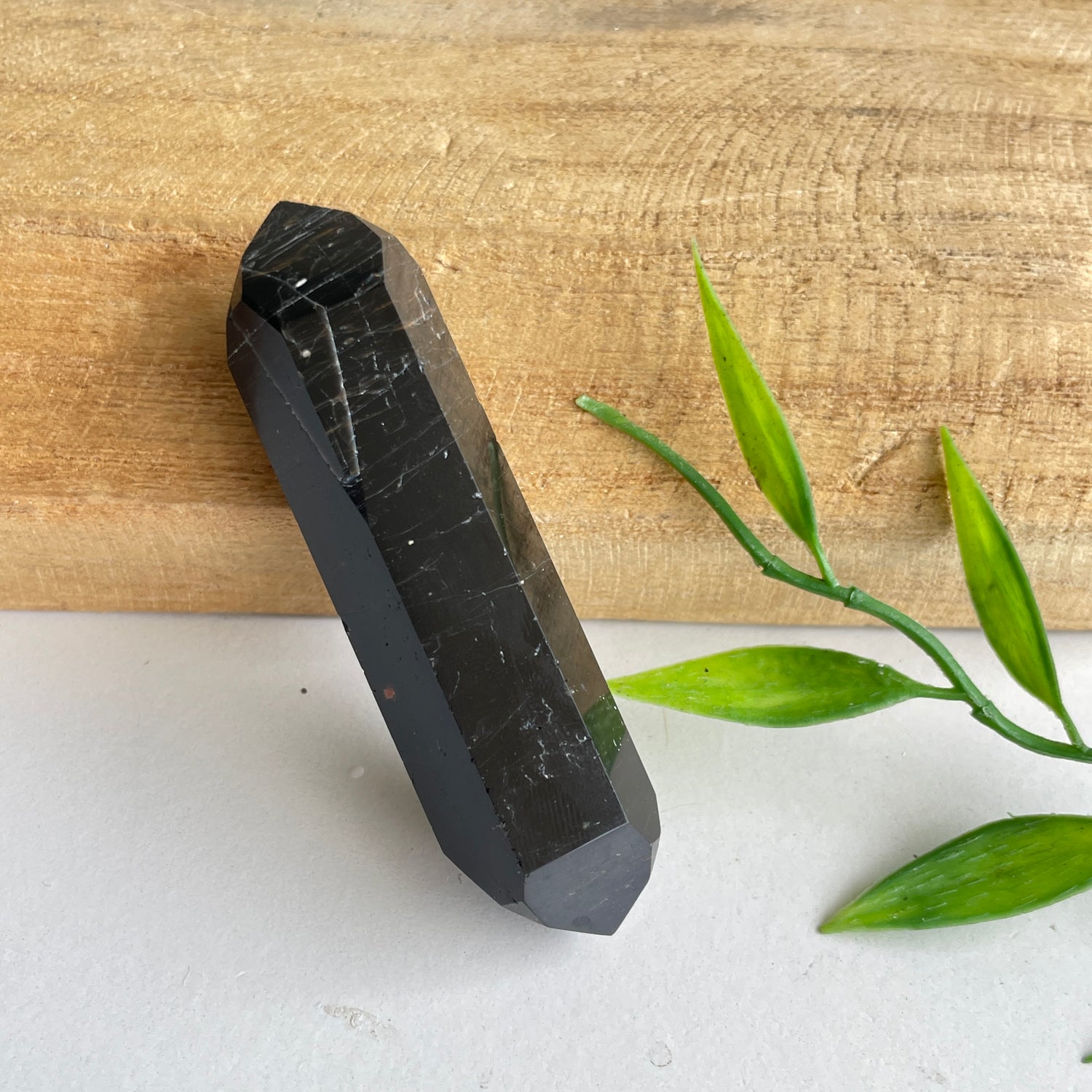 Black Tourmaline Double Terminator 6.5cm