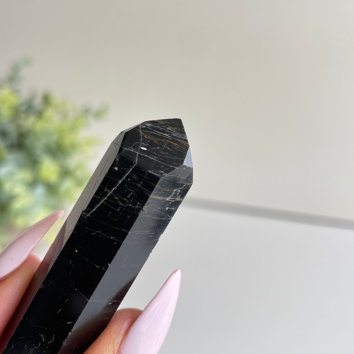 Black Tourmaline Double Terminator 6.5cm