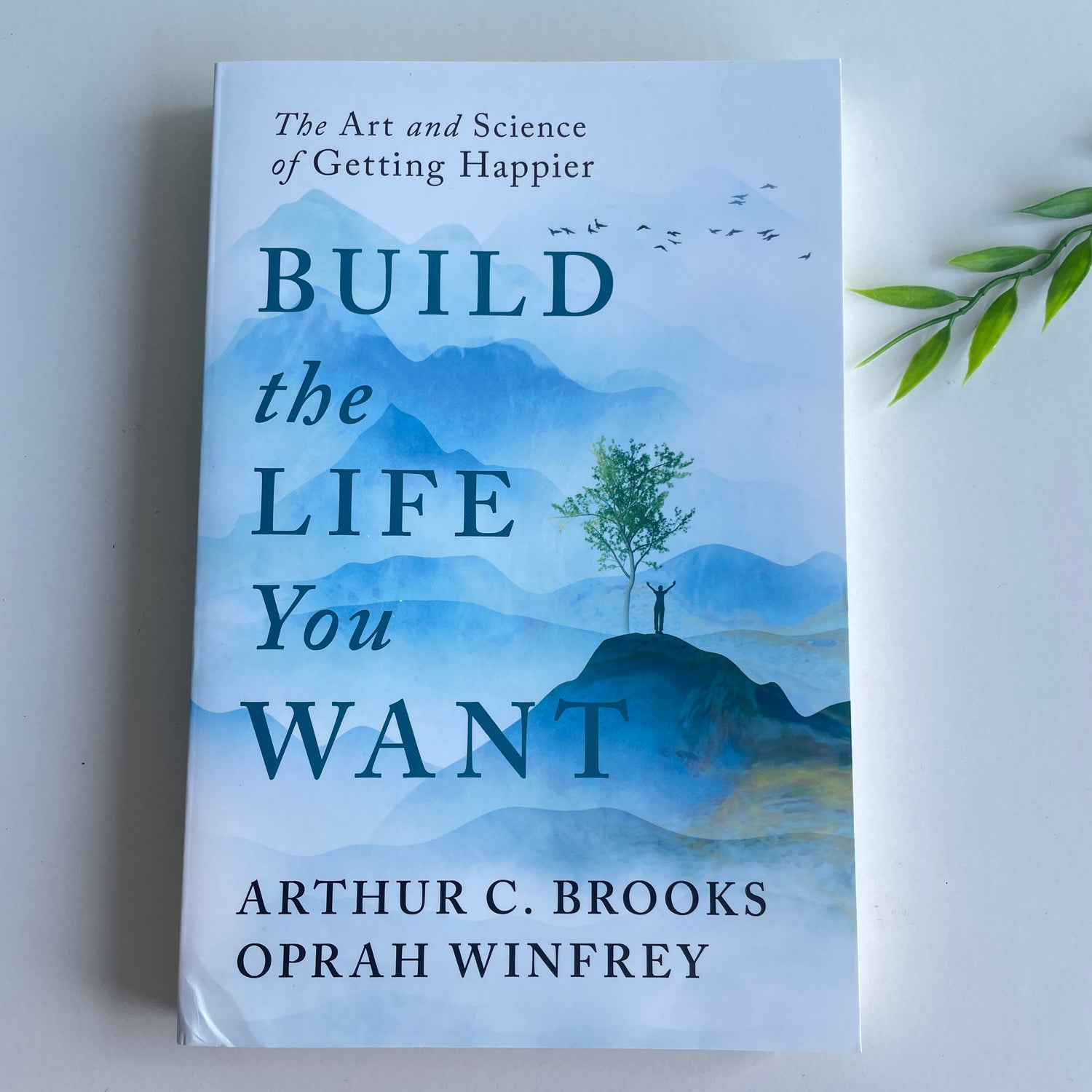 Build The Life You Want Arthur Brooks