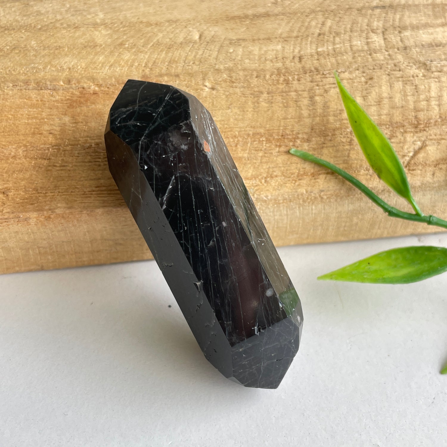 Black Tourmaline Double Terminator 5.8cm