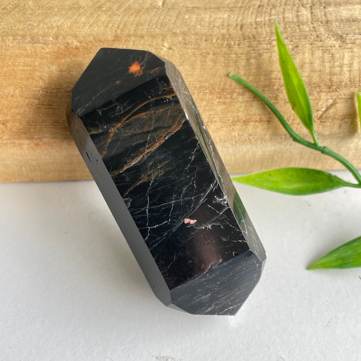 Black Tourmaline Double Terminator 6.6cm