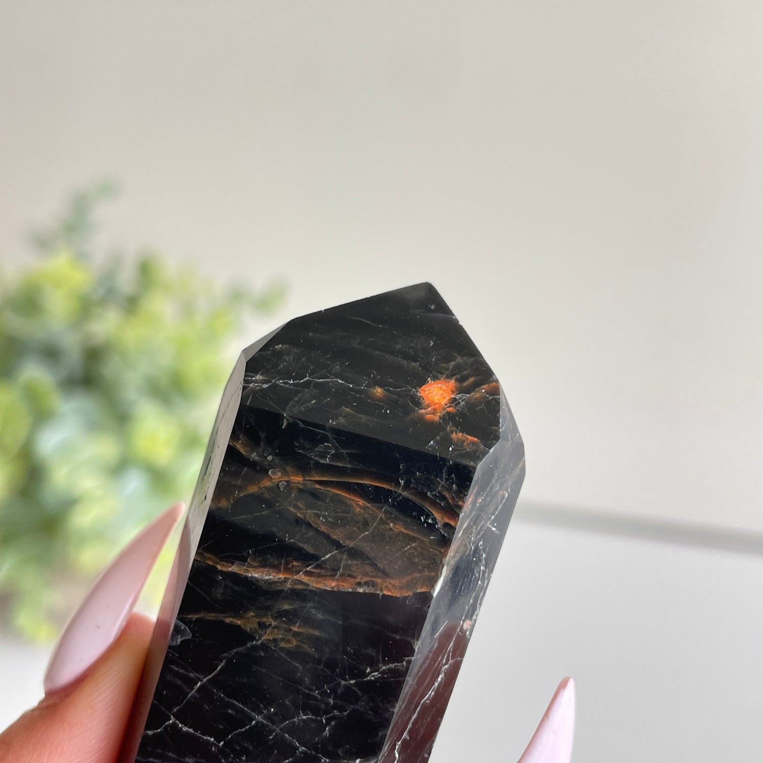 Black Tourmaline Double Terminator 6.6cm