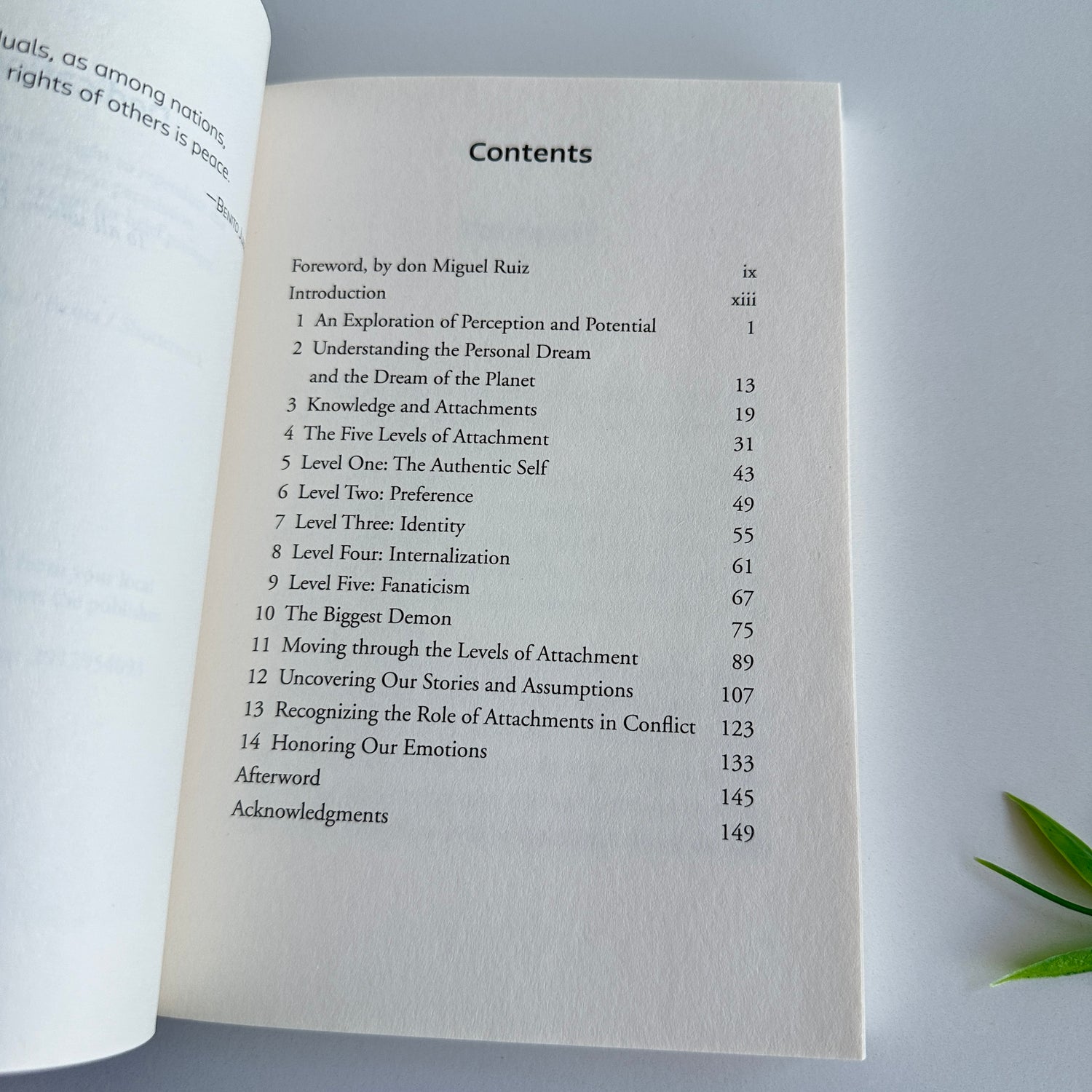 D. Ruiz The Five Levels of Attachment