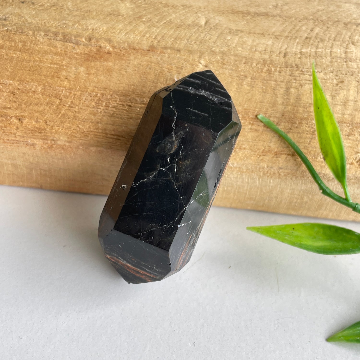 Black Tourmaline Double Terminator 4.8cm