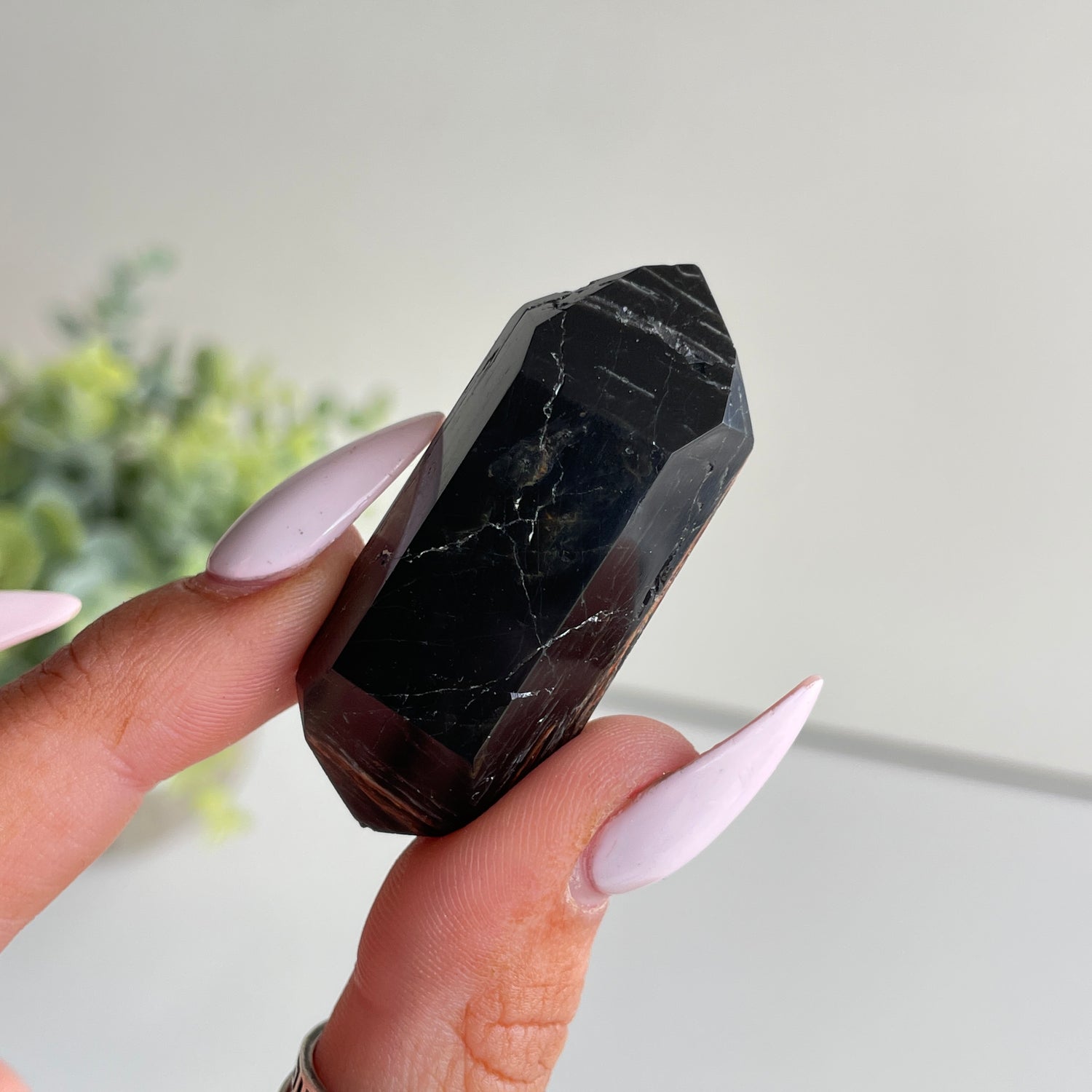 Black Tourmaline Double Terminator 4.8cm