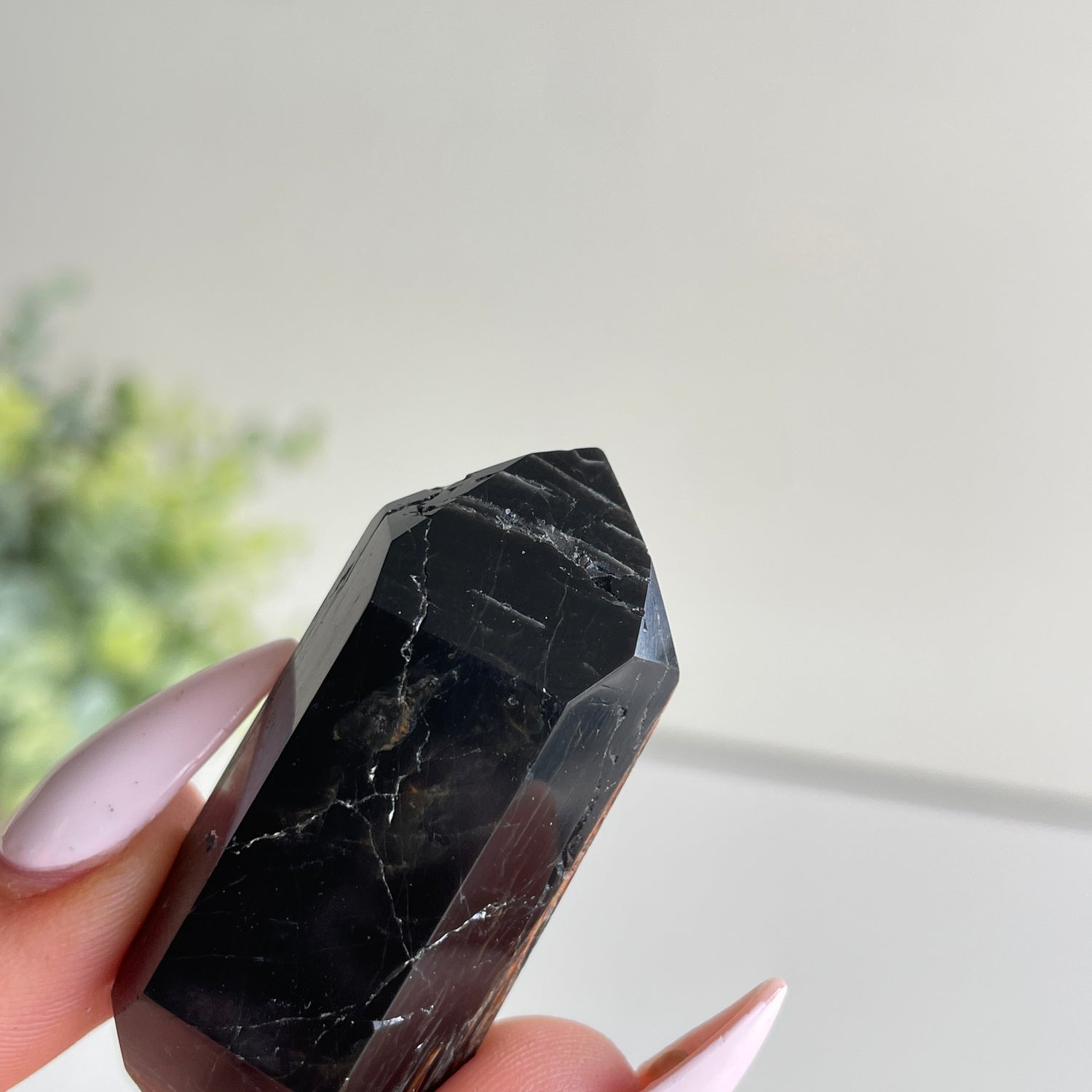 Black Tourmaline Double Terminator 4.8cm