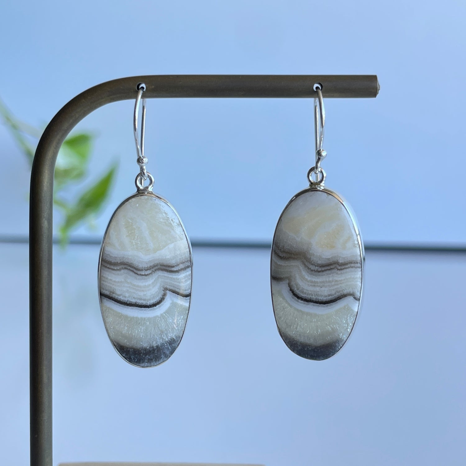 Zebra Jasper Oval Earrings