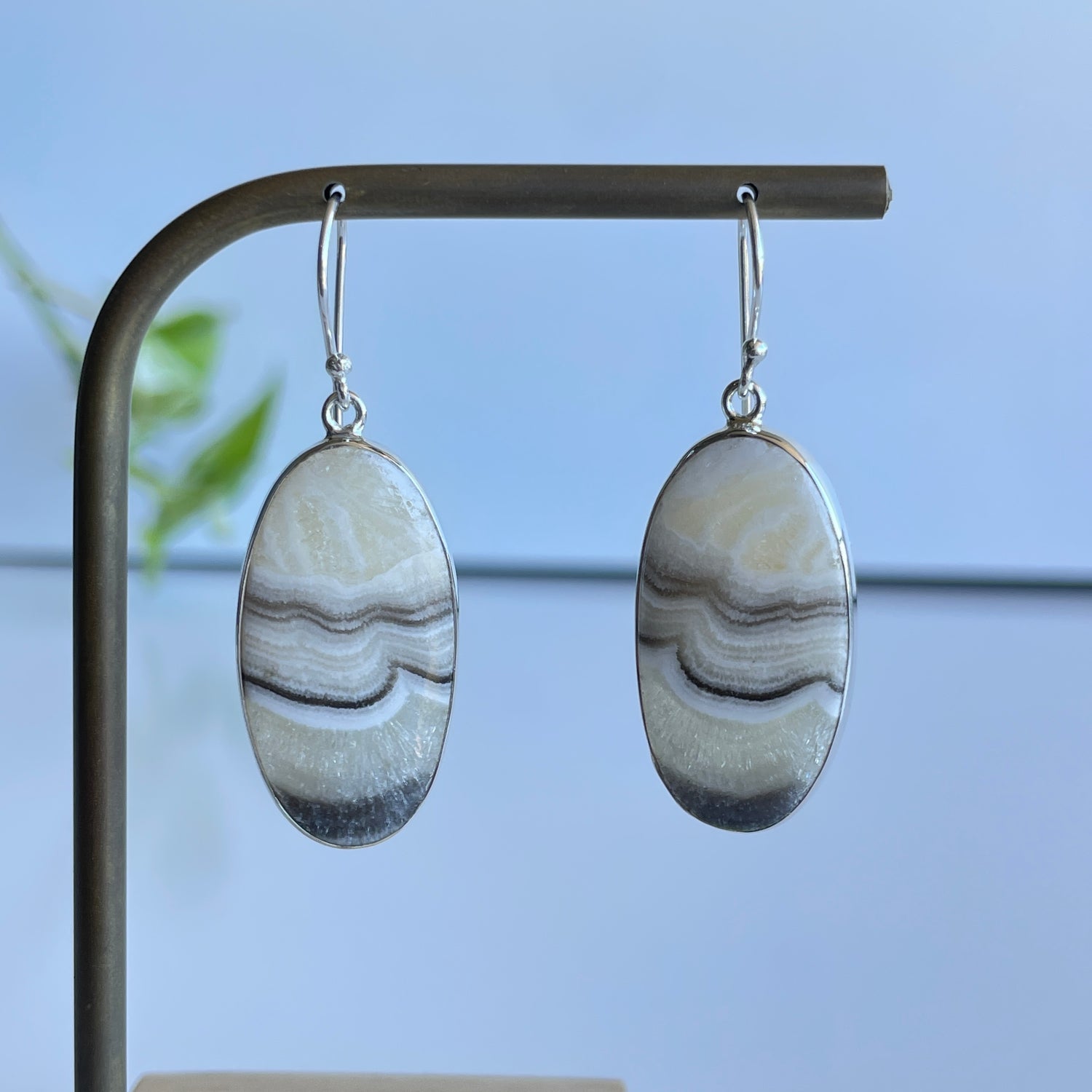 Zebra Jasper Oval Earrings