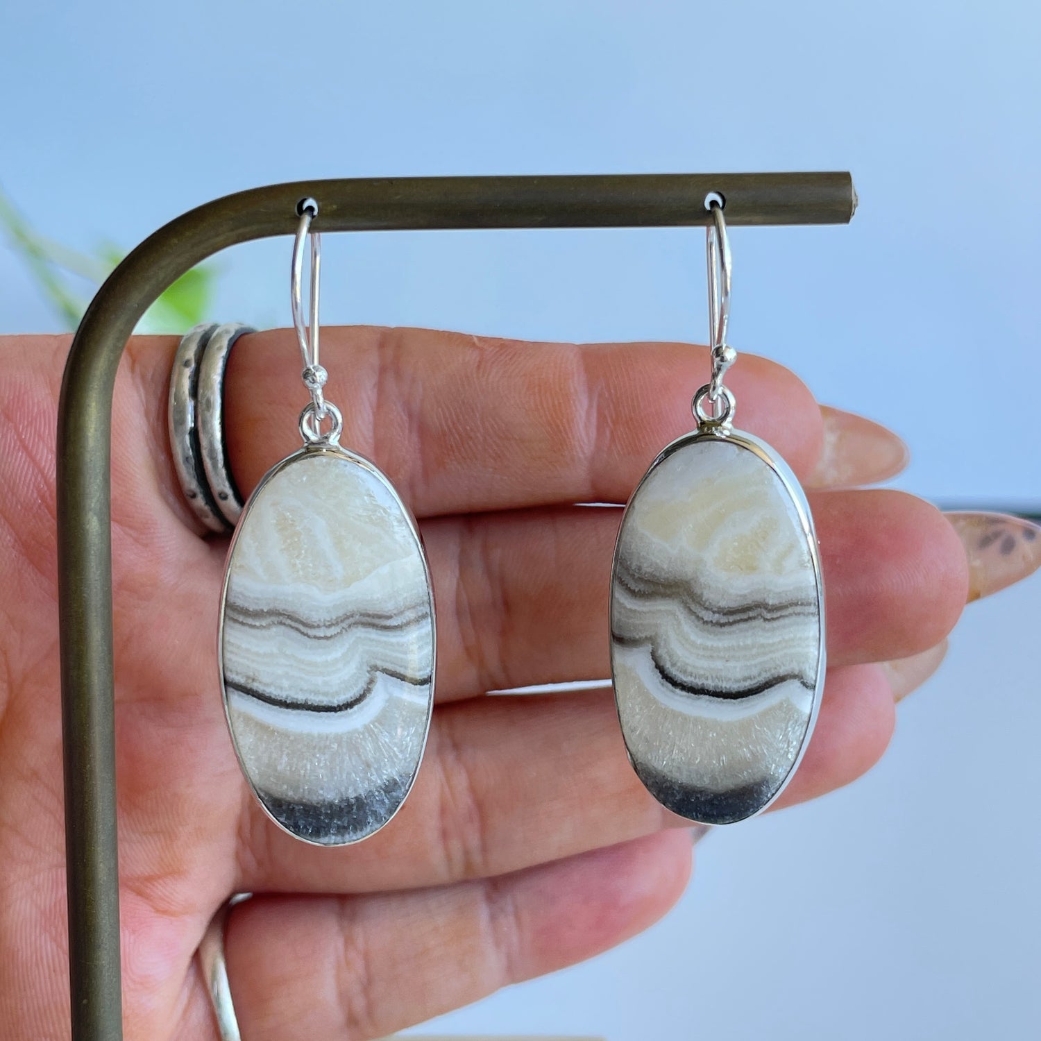 Zebra Jasper Oval Earrings
