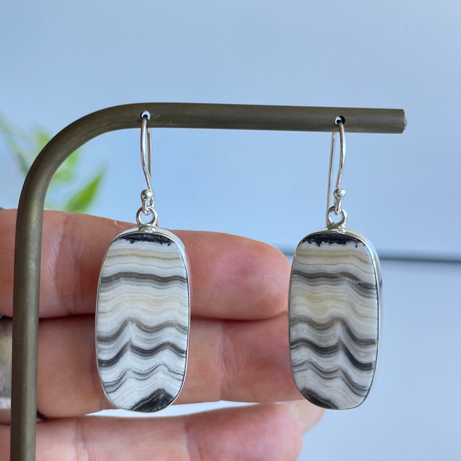 Zebra Jasper Oval Earrings