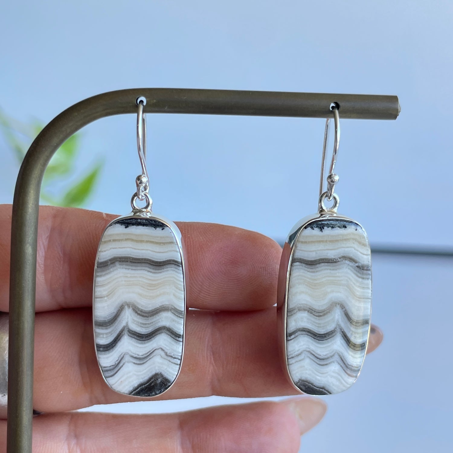 Zebra Jasper Oval Earrings