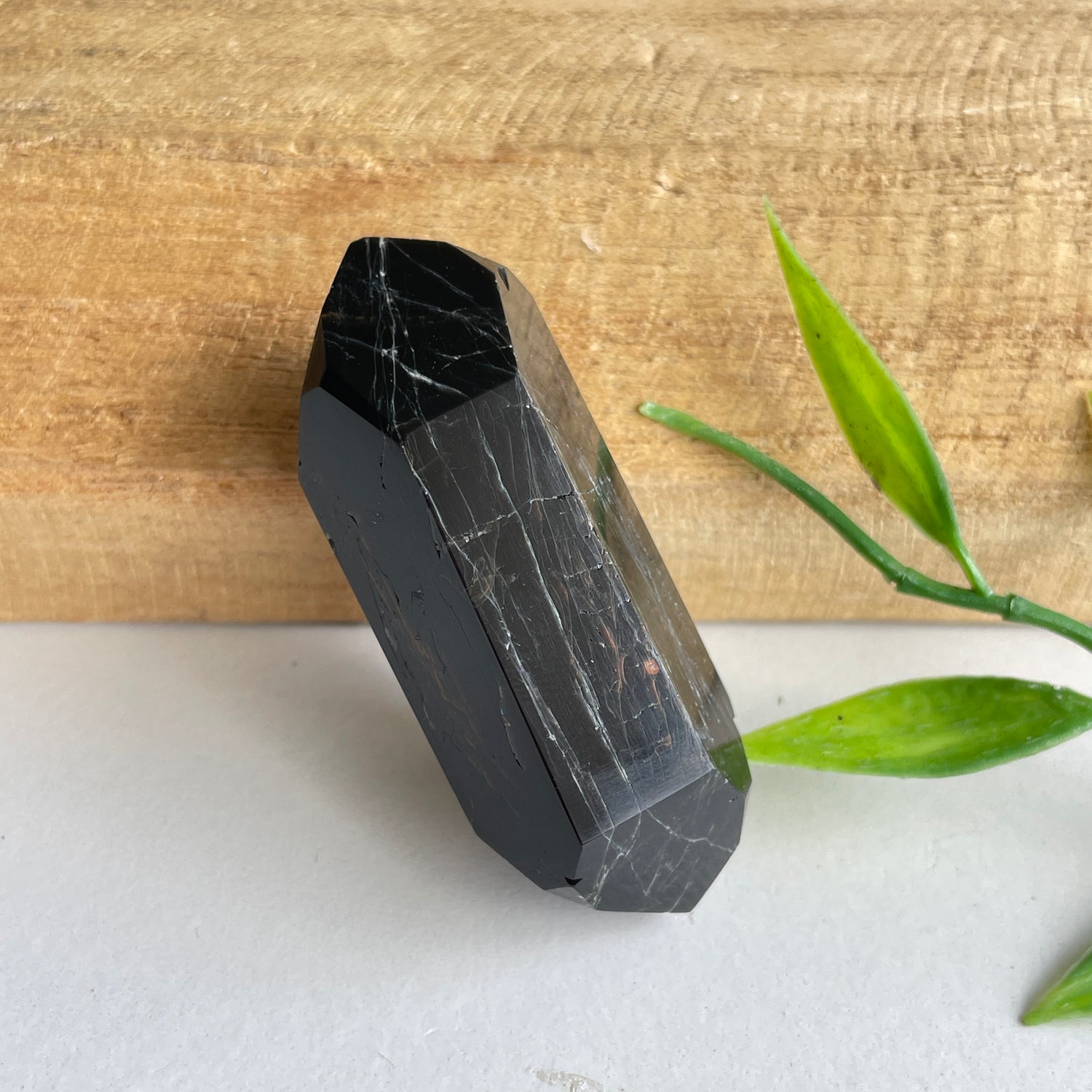 Black Tourmaline Double Terminator 5cm