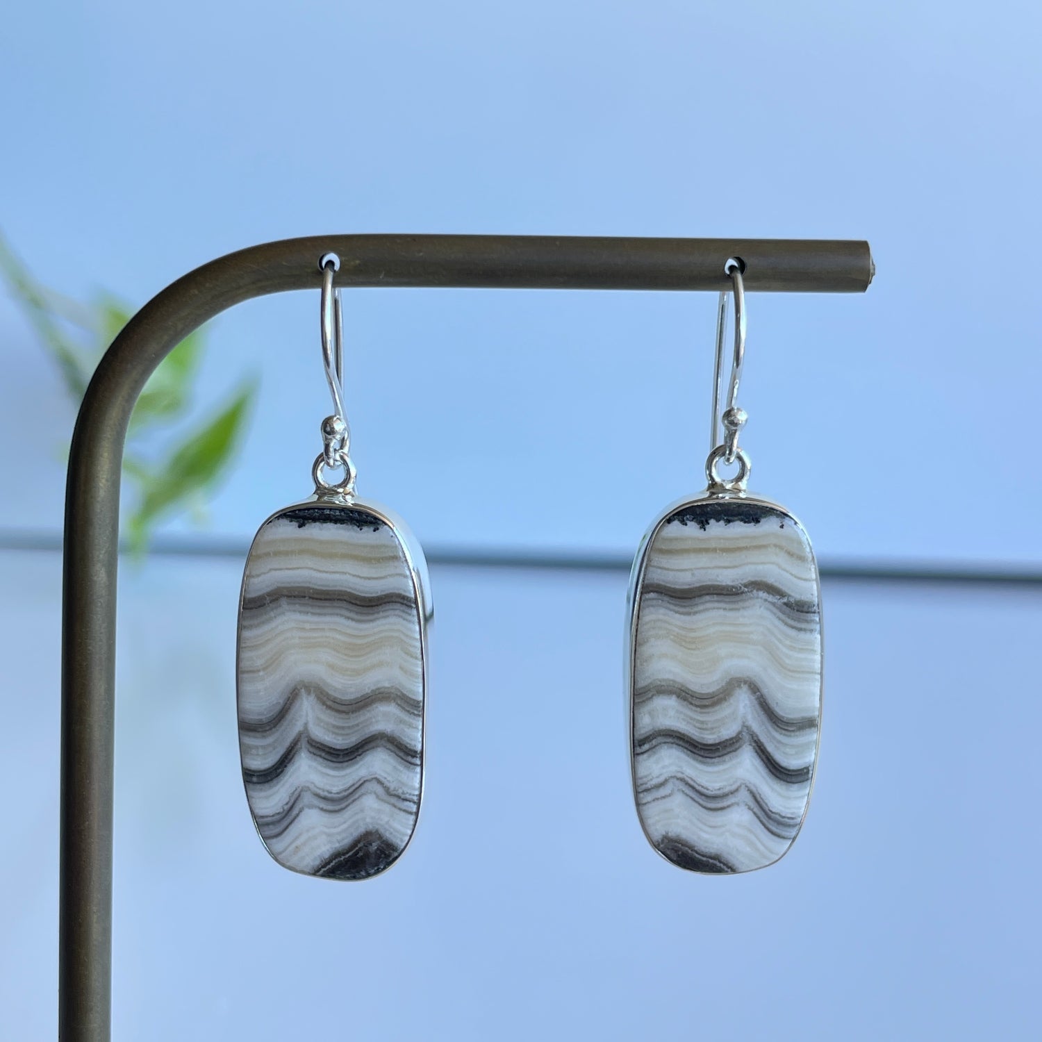 Zebra Jasper Oval Earrings