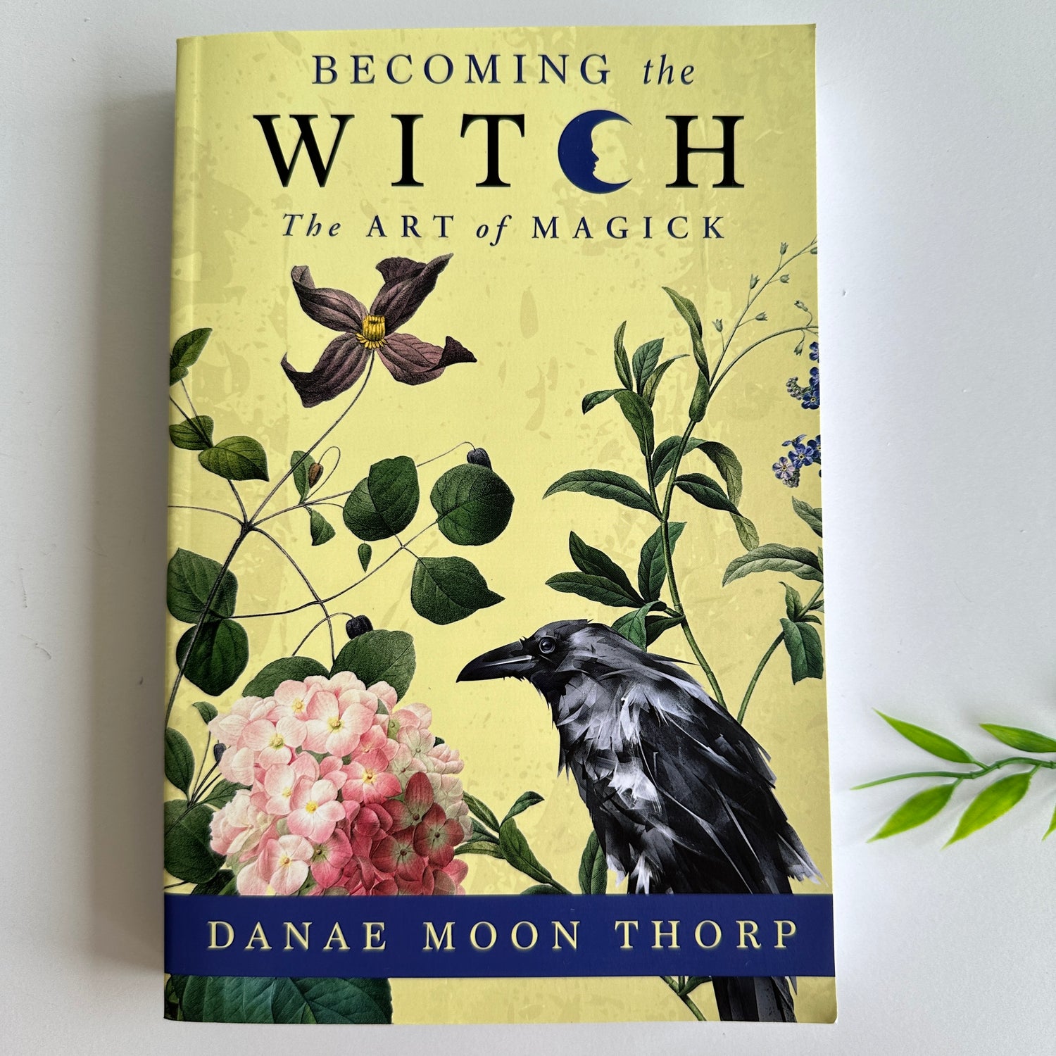 Becoming The Witch Danae Moon Thorp